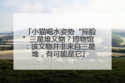 小猫喝水姿势“撞脸”三星堆文物？博物馆：该文物并非来自三星堆，有可能是它