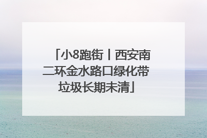 小8跑街丨西安南二环金水路口绿化带垃圾长期未清