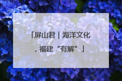 屏山君｜海洋文化，福建“有解”