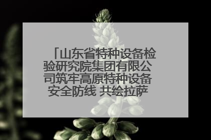 山东省特种设备检验研究院集团有限公司筑牢高原特种设备安全防线 共绘拉萨美好生活画卷