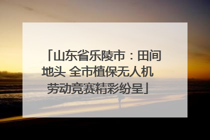 山东省乐陵市：田间地头 全市植保无人机劳动竞赛精彩纷呈