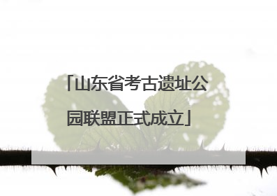 山东省考古遗址公园联盟正式成立