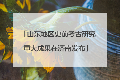 山东地区史前考古研究重大成果在济南发布