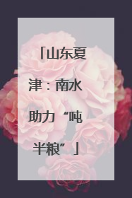 山东夏津：南水助力“吨半粮”