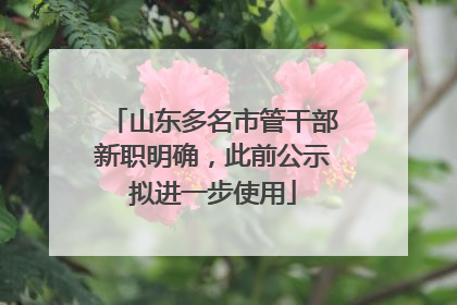 山东多名市管干部新职明确，此前公示拟进一步使用