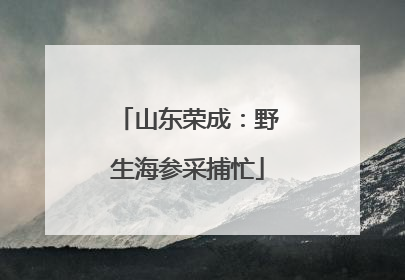 山东荣成：野生海参采捕忙