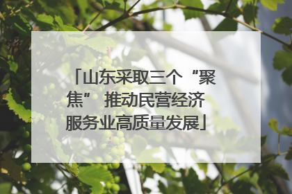 山东采取三个“聚焦” 推动民营经济服务业高质量发展