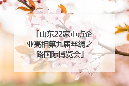 山东22家重点企业亮相第九届丝绸之路国际博览会