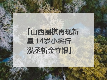 山西围棋再现新星 14岁小将行泓丞斩金夺银