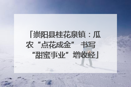 崇阳县桂花泉镇：瓜农“点花成金” 书写“甜蜜事业”增收经