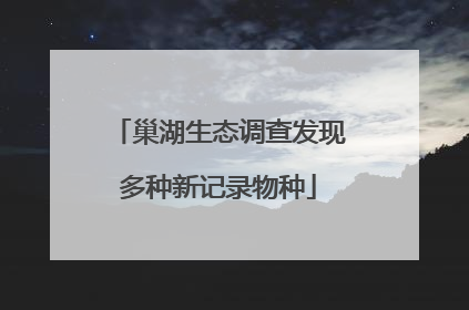 巢湖生态调查发现多种新记录物种