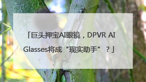 巨头押宝AI眼镜，DPVR AI Glasses将成“现实助手”？