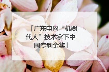 广东电网“机器代人”技术拿下中国专利金奖