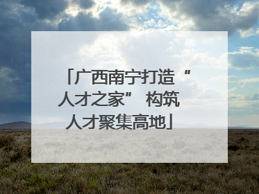 广西南宁打造“人才之家” 构筑人才聚集高地