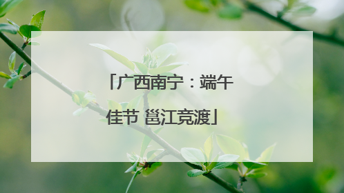 广西南宁：端午佳节 邕江竞渡