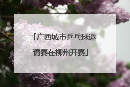 广西城市乒乓球邀请赛在柳州开赛