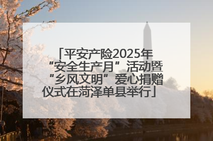 平安产险2025年“安全生产月”活动暨“乡风文明”爱心捐赠仪式在菏泽单县举行