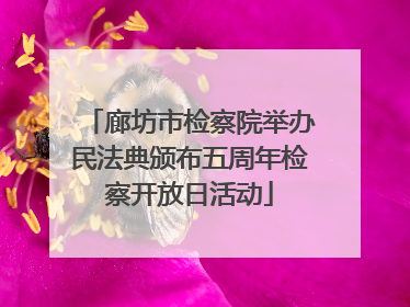 廊坊市检察院举办民法典颁布五周年检察开放日活动