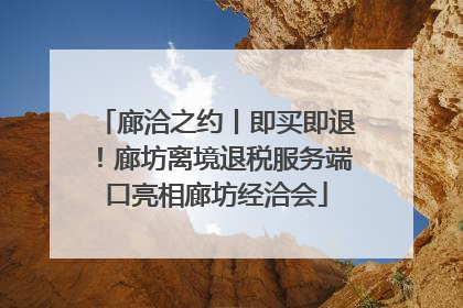 廊洽之约丨即买即退！廊坊离境退税服务端口亮相廊坊经洽会