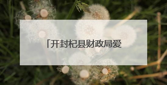 开封杞县财政局爱心捐赠走进高阳镇