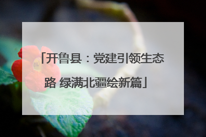 开鲁县：党建引领生态路 绿满北疆绘新篇