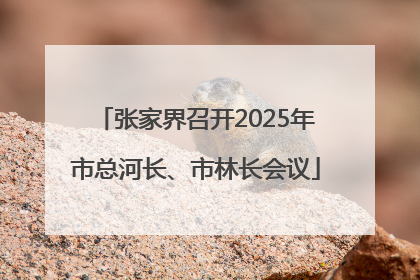张家界召开2025年市总河长、市林长会议