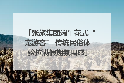 张旅集团端午花式“宠游客” 传统民俗体验拉满假期氛围感
