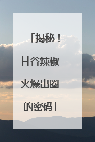 揭秘！甘谷辣椒火爆出圈的密码