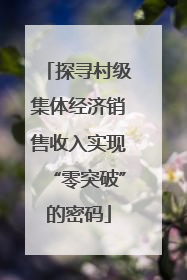 探寻村级集体经济销售收入实现“零突破”的密码