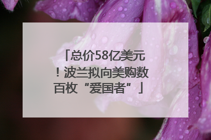 总价58亿美元！波兰拟向美购数百枚“爱国者”