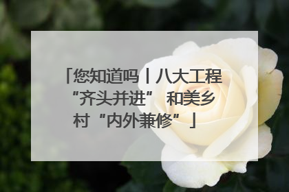 您知道吗丨八大工程“齐头并进” 和美乡村“内外兼修”