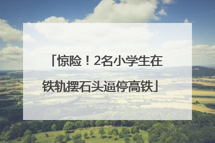 惊险！2名小学生在铁轨摆石头逼停高铁