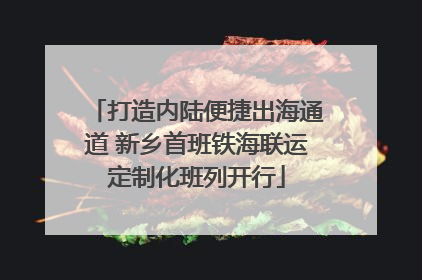 打造内陆便捷出海通道 新乡首班铁海联运定制化班列开行