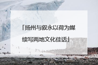 扬州与叙永以荷为媒续写两地文化佳话