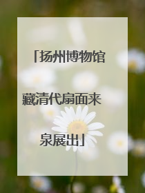 扬州博物馆藏清代扇面来泉展出