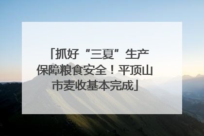抓好“三夏”生产 保障粮食安全！平顶山市麦收基本完成