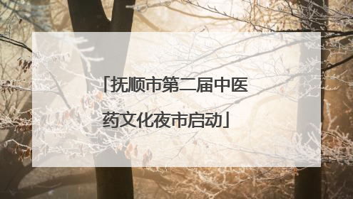 抚顺市第二届中医药文化夜市启动