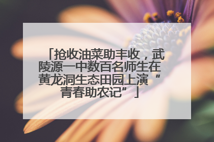 抢收油菜助丰收，武陵源一中数百名师生在黄龙洞生态田园上演“青春助农记”