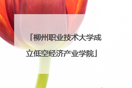 柳州职业技术大学成立低空经济产业学院