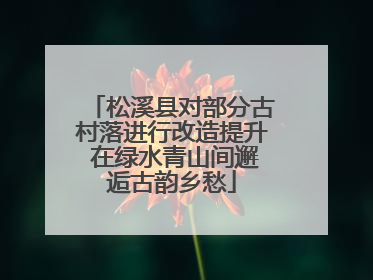 松溪县对部分古村落进行改造提升 在绿水青山间邂逅古韵乡愁