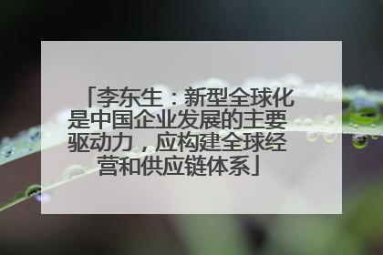 李东生：新型全球化是中国企业发展的主要驱动力，应构建全球经营和供应链体系