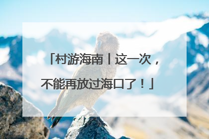 村游海南丨这一次，不能再放过海口了！