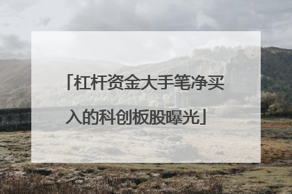 杠杆资金大手笔净买入的科创板股曝光