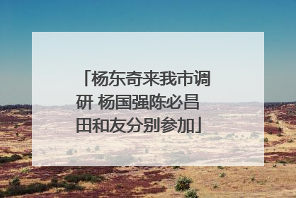 杨东奇来我市调研 杨国强陈必昌田和友分别参加