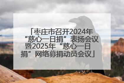 枣庄市召开2024年“慈心一日捐”表扬会议暨2025年“慈心一日捐”网络募捐动员会议