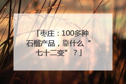枣庄：100多种石榴产品，靠什么“七十二变”？