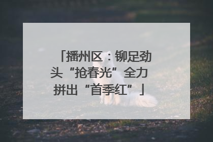 播州区：铆足劲头“抢春光”全力拼出“首季红”
