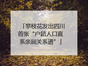 攀枝花发出四川首张“户籍人口直系亲属关系谱”