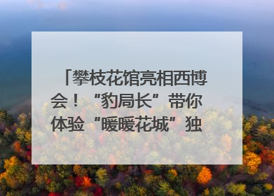 攀枝花馆亮相西博会！“豹局长”带你体验“暖暖花城”独特魅力｜西博视界