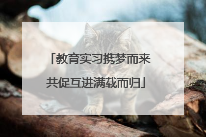 教育实习携梦而来 共促互进满载而归